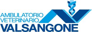 Risorsa 4logo valsangone colore